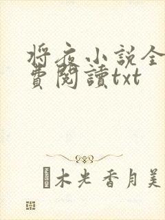 将夜小说全本免费阅读txt