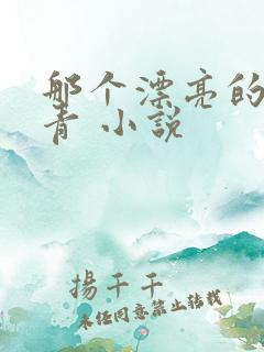 那个漂亮的男知青 小说