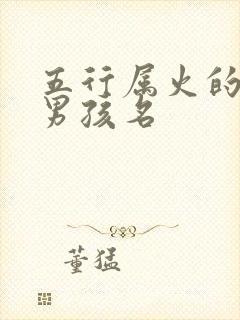 五行属火的字起男孩名