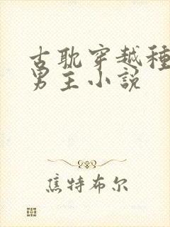 古耽穿越种田双男主小说