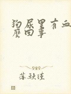 狗尿里有血是怎么回事