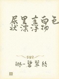 尿里有白色云雾状漂浮物