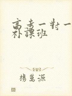 高考一对一英语补课班