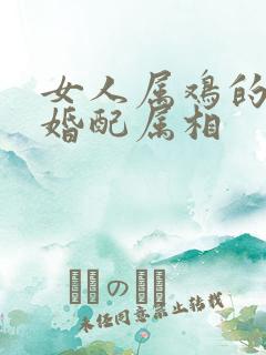 女人属鸡的最佳婚配属相