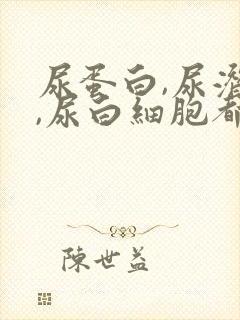 尿蛋白,尿潜血,尿白细胞都有加号