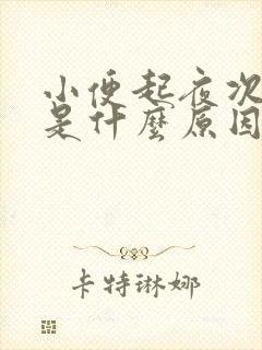 小便起夜次数多是什么原因