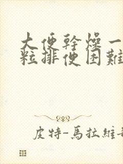 大便干燥一粒一粒排便困难