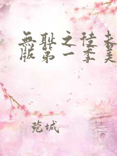 无耻之徒未删减版第一季美版