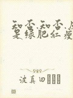 知否.知否.应是绿肥红瘦在线观看