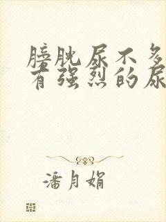 膀胱尿不多就会有强烈的尿意怎么办