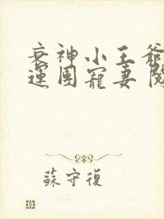 衰神小王爷的福运团宠妻 阅读