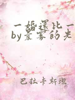 一婚还比一婚高by晨雾的光小说免费阅读