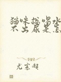 猫咪总喝水却尿不出尿是怎么回事