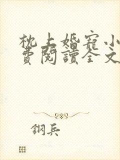 枕上婚宠小说免费阅读全文