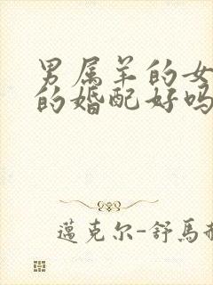 男属羊的女属兔的婚配好吗