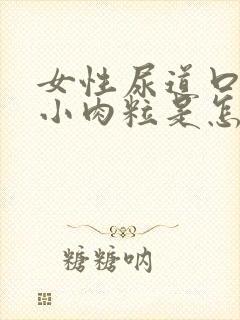 女性尿道口边有小肉粒是怎回事