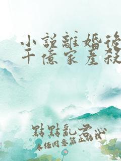 小说离婚后我带千亿家产杀回来了免费阅读