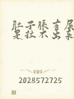 肚子胀有屎意但是拉不出来