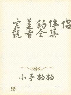 完美的伴侣免费观看全集