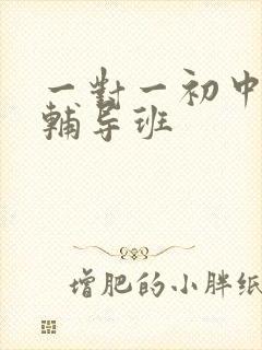 一对一初中物理辅导班