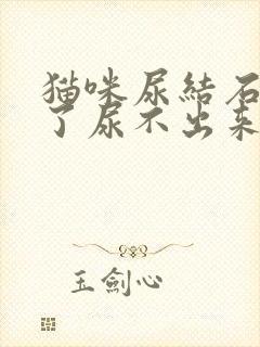 猫咪尿结石堵住了尿不出来怎么办