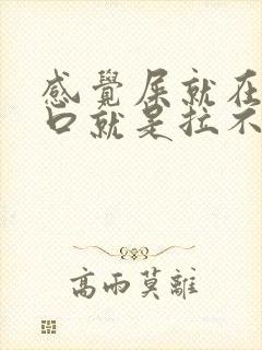 感觉屎就在肛门口就是拉不出来怎么办