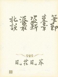 北派盗墓笔记小说最新章节