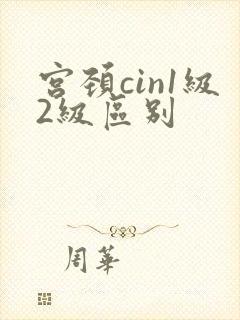 宫颈cin1级2级区别