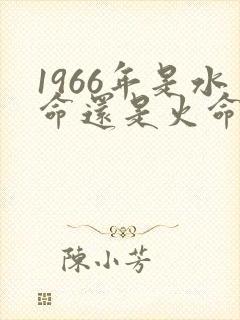 1966年是水命还是火命