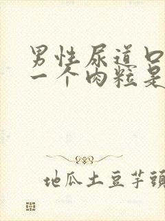 男性尿道口长了一个肉粒是怎么回事