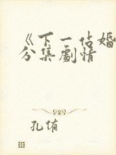 《下一站婚姻》分集剧情