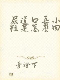 尿道口长小红颗粒是怎么回事