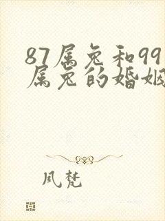 87属兔和99属兔的婚姻怎样
