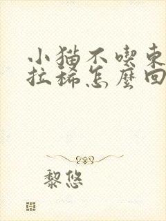 小猫不吃东西还拉稀怎么回事