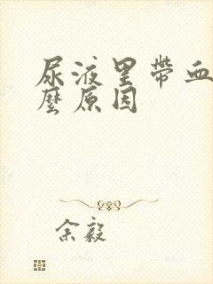 尿液里带血是什么原因