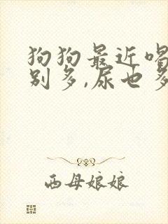 狗狗最近喝水特别多,尿也多