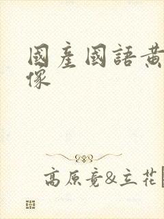 国产国语黄色录像