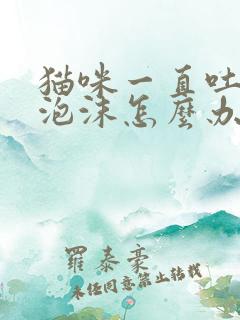 猫咪一直吐白色泡沫怎么办