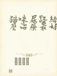 猫咪尿路结石怎么治疗最好