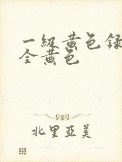 一级黄色录像片全黄色