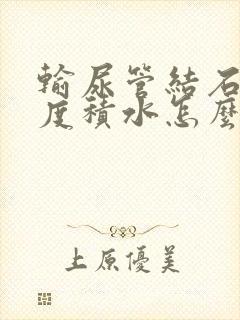 输尿管结石肾轻度积水怎么治疗