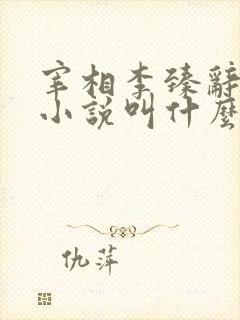 宰相李臻辞官的小说叫什么名字