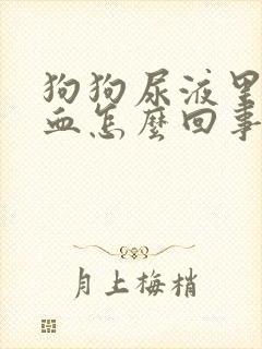 狗狗尿液里面带血怎么回事