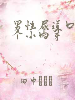 男性尿道口有两个小肉芽