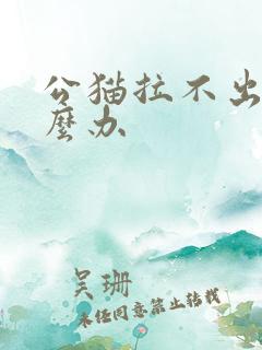 公猫拉不出尿怎么办