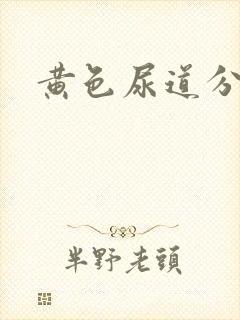 黄色尿道分泌物