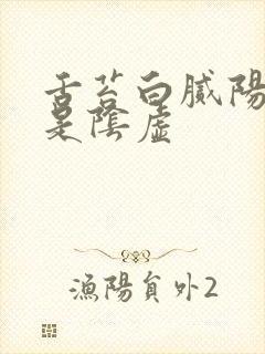 舌苔白腻阳虚还是阴虚