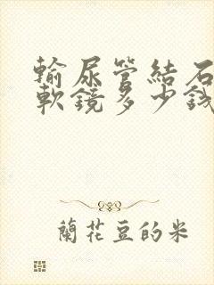 输尿管结石手术软镜多少钱