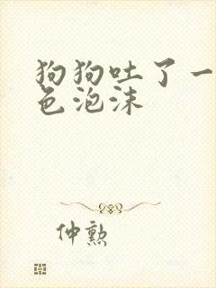 狗狗吐了一滩白色泡沫