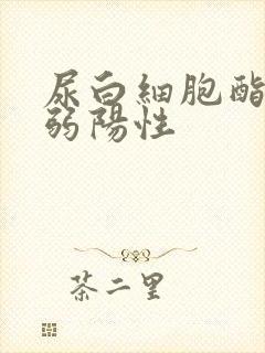 尿白细胞酯酶 弱阳性